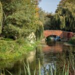 wild swimming fordwich