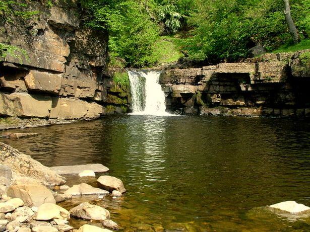 kisdon force 