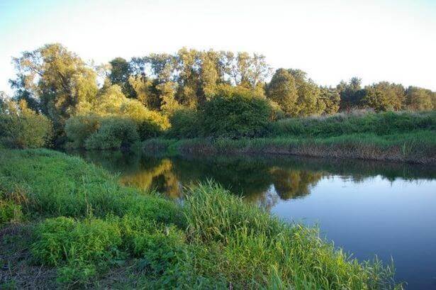 river great ouse swimming pavenham