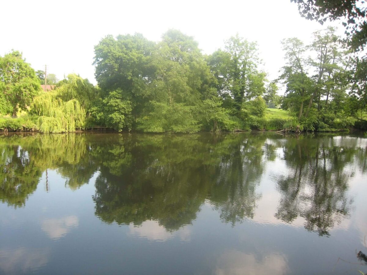 river dee swimming eccleston