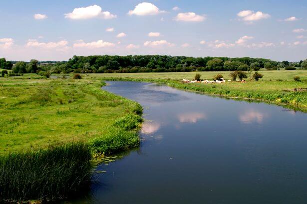 river nene swimming