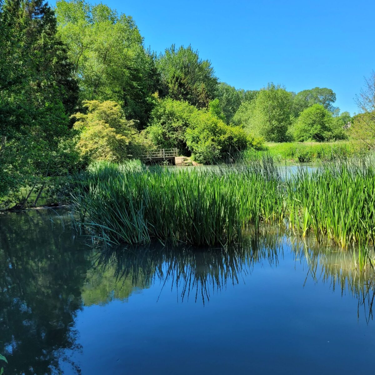 minster lovell swimming