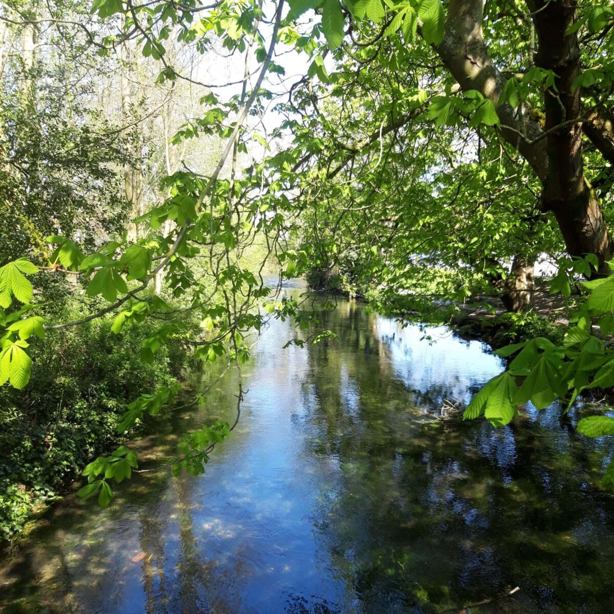 wild swimming marlborough