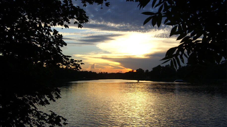 gosfield lake swimming