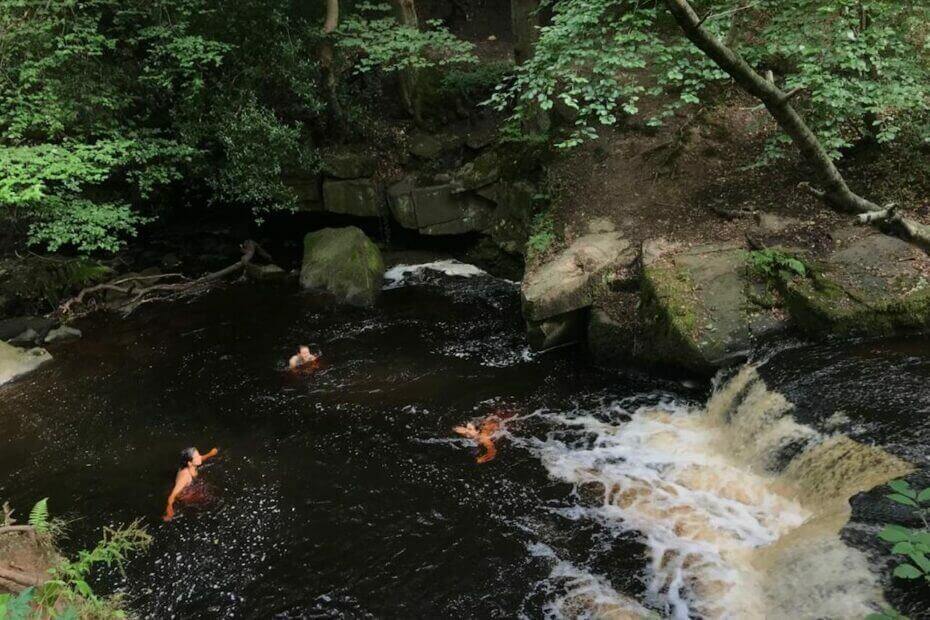 rivelin valley swimming 