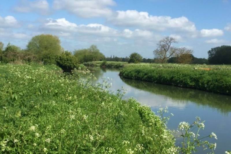 grantchester meadows swimmings