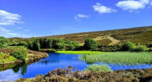 wild swimming northern ireland 