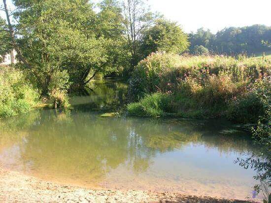 river rother swimming