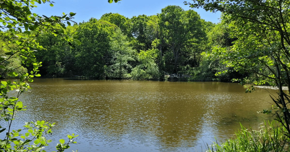 Best Places in England for Wild Swimming in June