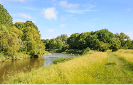 river ouse swimmng hamsey