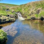three shires head swimming
