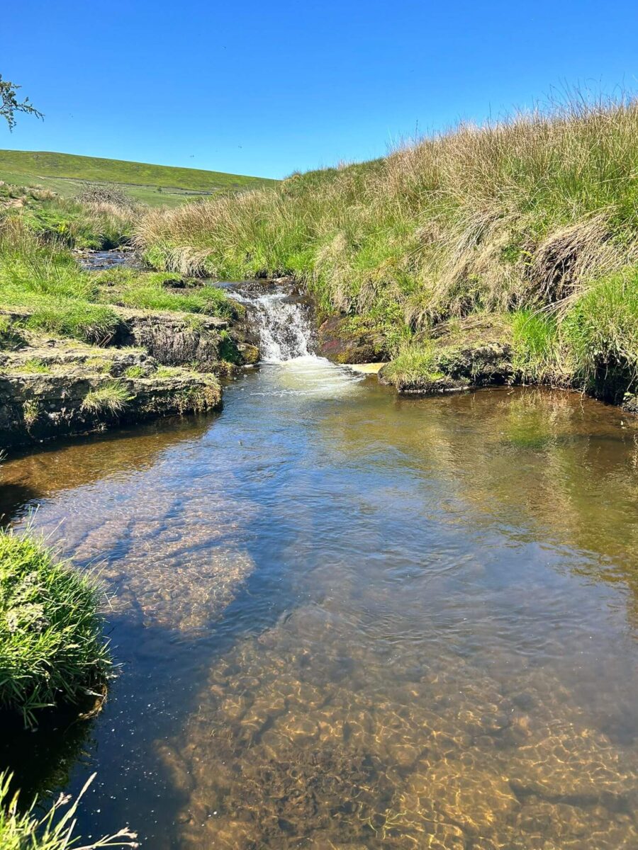 three shires head swimming