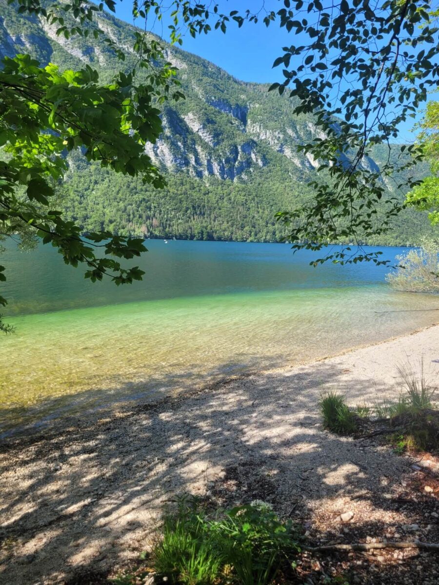 beach at lake bohinj