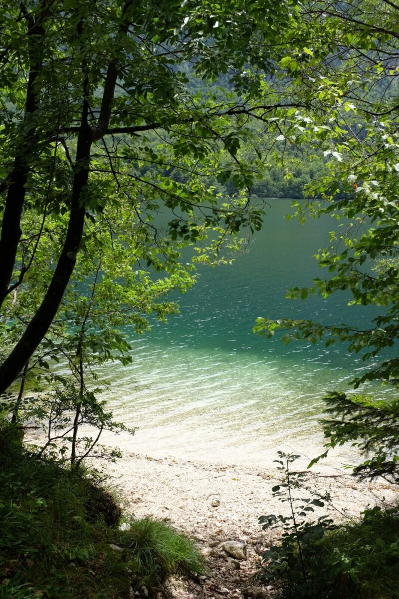 lake bohinj 