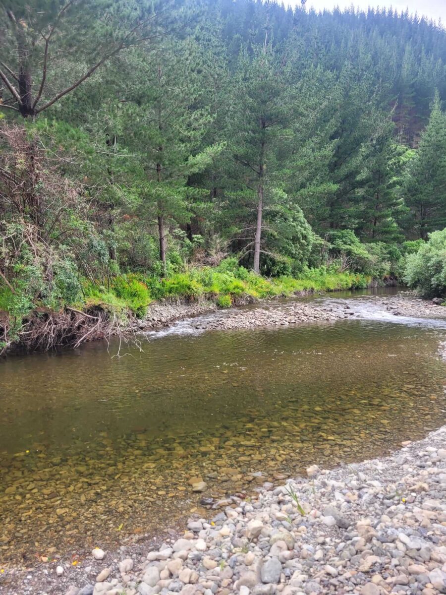 lake pakuratahi swimming 