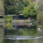 hampstead heath mixed swimming pond