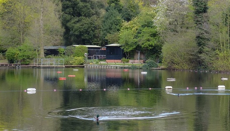 hampstead heath mixed swimming pond