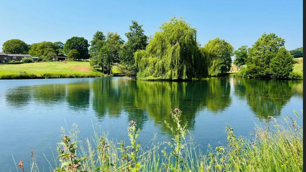 barehill lakes on a clear blue sky day