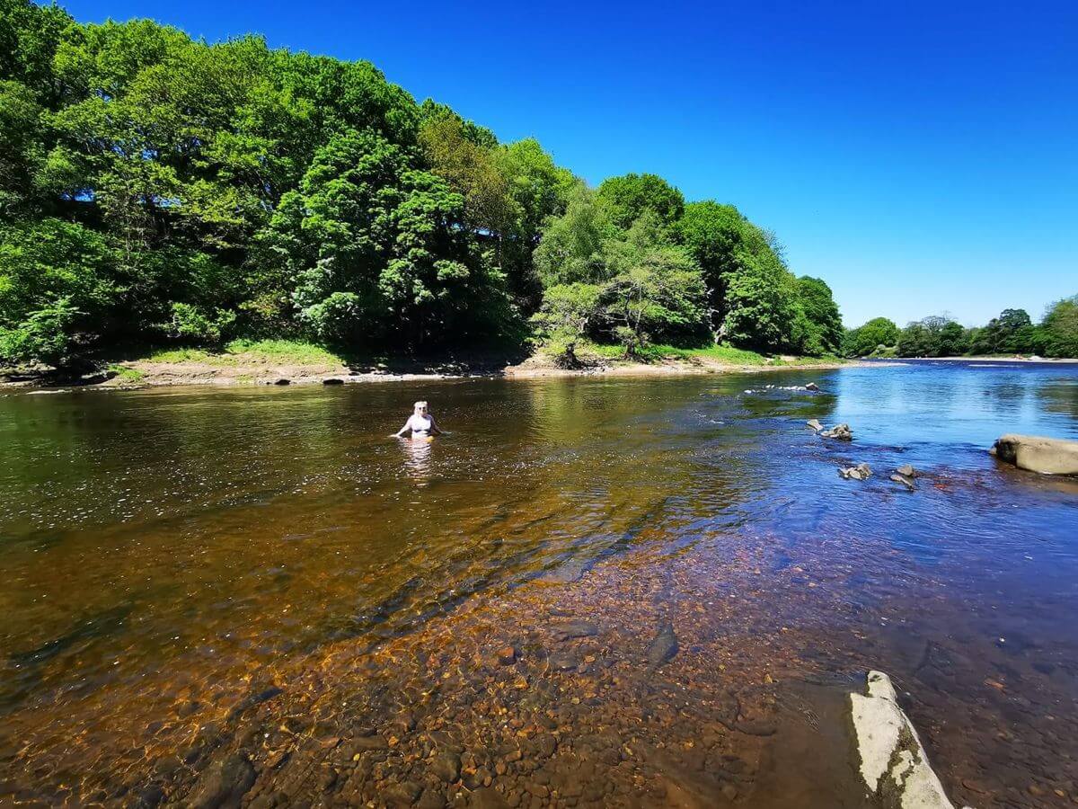 marles wood river ribble swimming