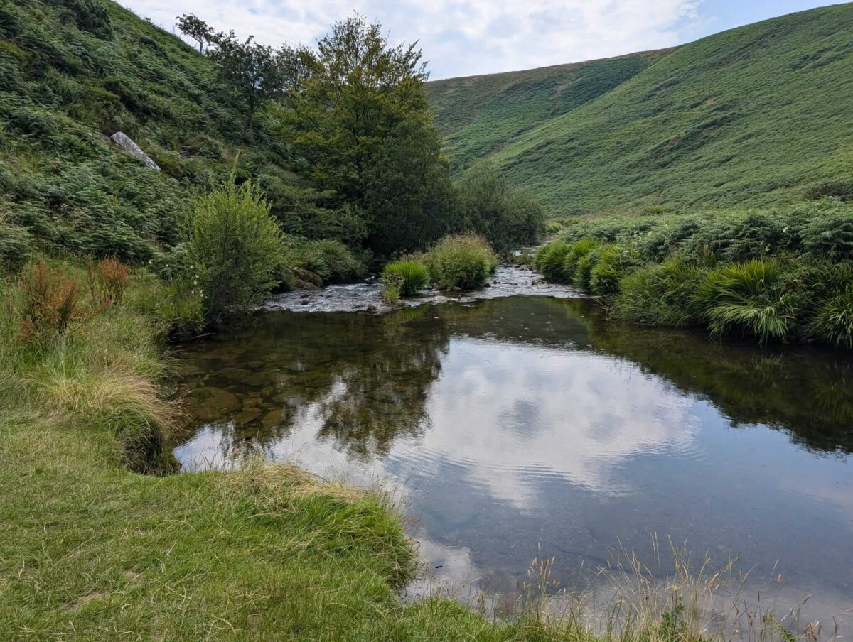 cow castle wild swimming on the river barle