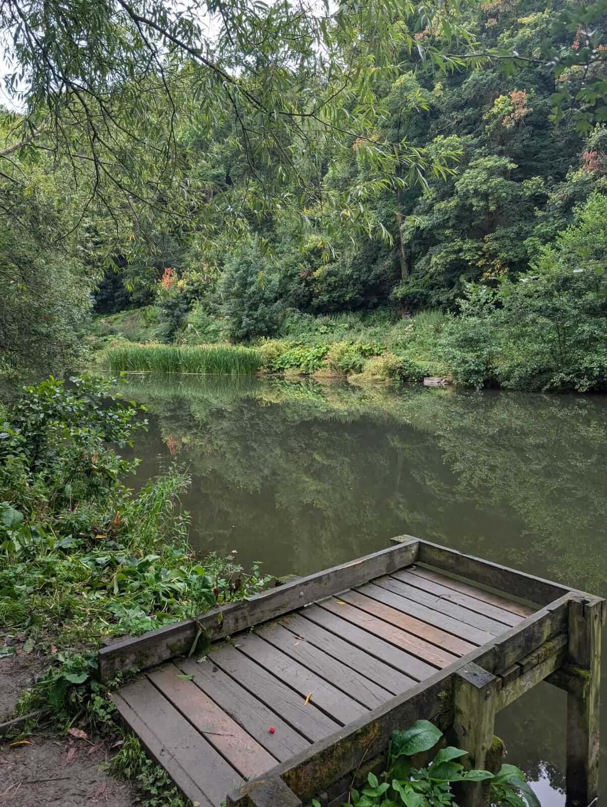 view of the river teme in ludlow with a small pontoon entering the water