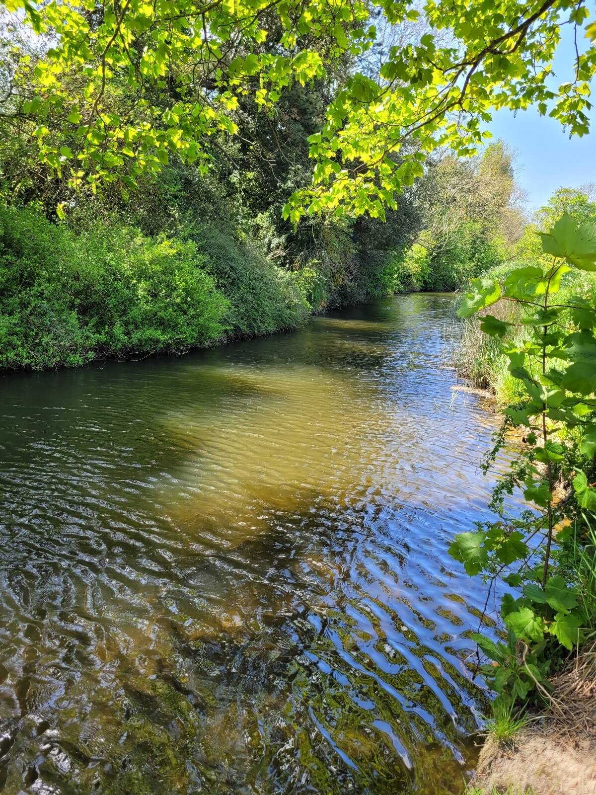 river stour at sandwich